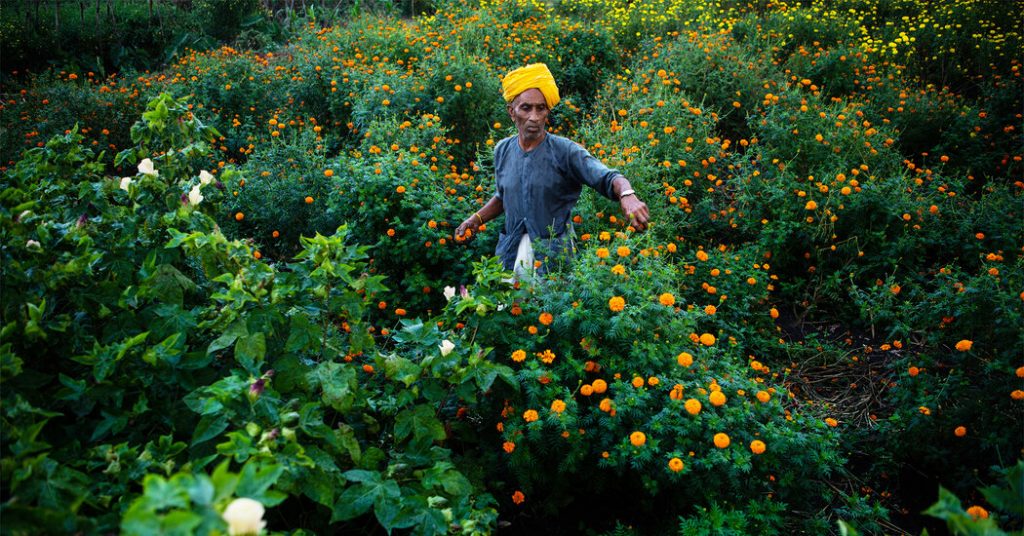 Why Is Fashion Talking About Regenerative Farming?
