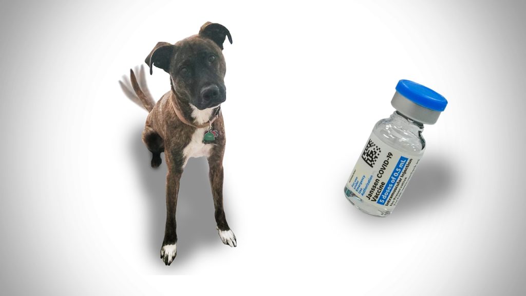 Six things Alabamians like more than COVID vaccines – AL.com