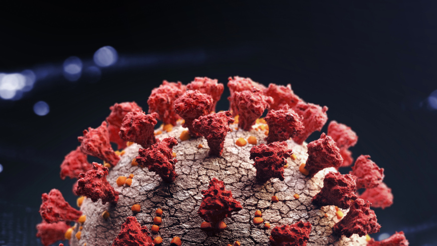 BNT162b2-elicited neutralization of B.1.617 and other SARS-CoV-2 variants – Nature.com