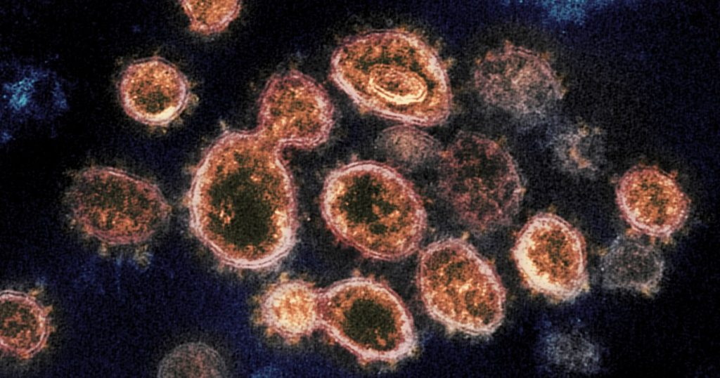 More transmissible Delta variant of coronavirus is in Arizona – ABC15 Arizona
