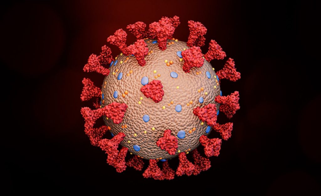 Chinese researchers say new batch of coronaviruses found in bats | TheHill – The Hill