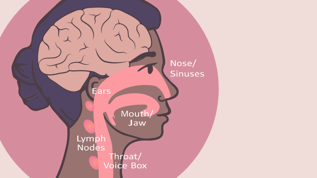 Locations of Head and Neck Cancer